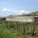 OMIMG_20160422_115235