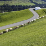 37047368460_3d25a85def_o