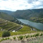 4 P1060948 – copie