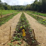 Ferme climato intelligente