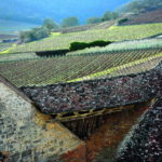 climats-bourgogne