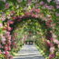 Jardin de roses nouvelles Beutig de Baden-Baden en Allemagne.