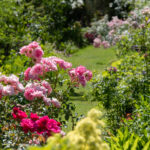 Jardin personnel d’André Eve 2020 – Route de la Rose ©IOAproduction – Sébastien Richard (26)