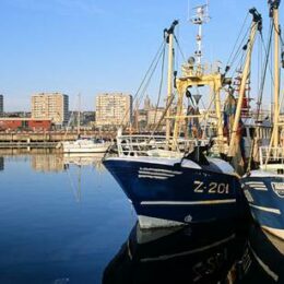 Port de pêche de Boulogne Sur Mer